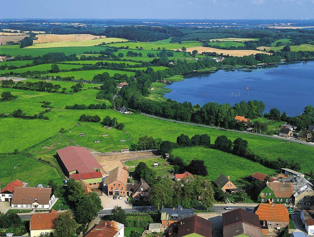 Ponyhof Naeve Am Wittensee Gross Wittensee Exteriér fotografie