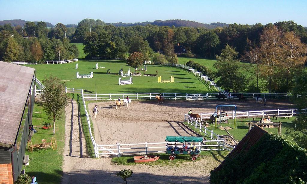 Ponyhof Naeve Am Wittensee Gross Wittensee Exteriér fotografie